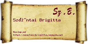 Szántai Brigitta névjegykártya