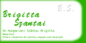 brigitta szantai business card